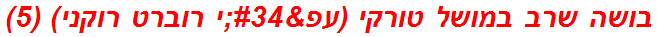 בושה שרב במושל טורקי (עפ"י רוברט רוקני) (5)