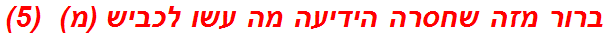 ברור מזה שחסרה הידיעה מה עשו לכביש (מ)  (5)