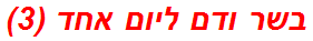 בשר ודם ליום אחד (3)