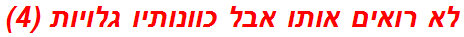 לא רואים אותו אבל כוונותיו גלויות (4)