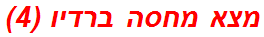 מצא מחסה ברדיו (4)