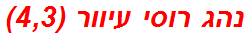 נהג רוסי עיוור (4,3)