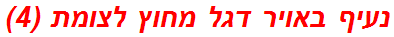 נעיף באויר דגל מחוץ לצומת (4)