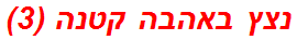 נצץ באהבה קטנה (3)