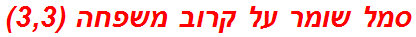 סמל שומר על קרוב משפחה (3,3)