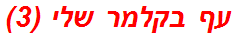 עף בקלמר שלי (3)