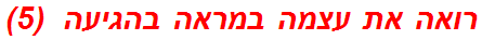 רואה את עצמה במראה בהגיעה  (5)