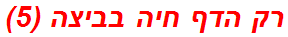 רק הדף חיה בביצה (5)