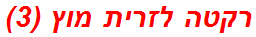 רקטה לזרית מוץ (3)