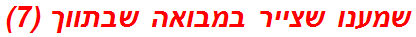 שמענו שצייר במבואה שבתווך (7)