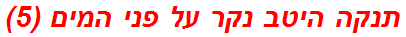 תנקה היטב נקר על פני המים (5)