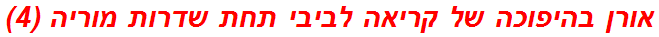 אורן בהיפוכה של קריאה לביבי תחת שדרות מוריה (4)