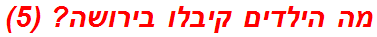 מה הילדים קיבלו בירושה? (5)