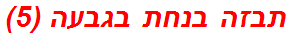 תבזה בנחת בגבעה (5)