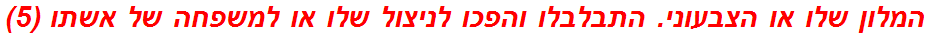 המלון שלו או הצבעוני. התבלבלו והפכו לניצול שלו או למשפחה של אשתו (5)