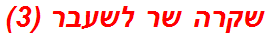 שקרה שר לשעבר (3)