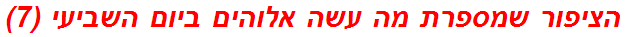 הציפור שמספרת מה עשה אלוהים ביום השביעי (7)