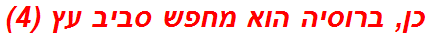 כן, ברוסיה הוא מחפש סביב עץ (4)