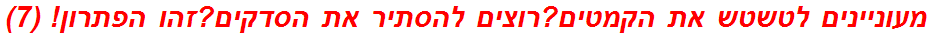 מעוניינים לטשטש את הקמטים?רוצים להסתיר את הסדקים?זהו הפתרון! (7)