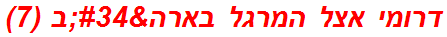 דרומי אצל המרגל בארה"ב (7)