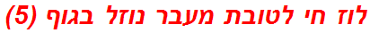 לוז חי לטובת מעבר נוזל בגוף (5)