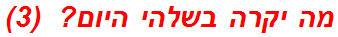 מה יקרה בשלהי היום?  (3)