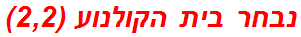 נבחר בית הקולנוע (2,2)