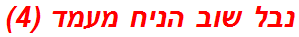 נבל שוב הניח מעמד (4)